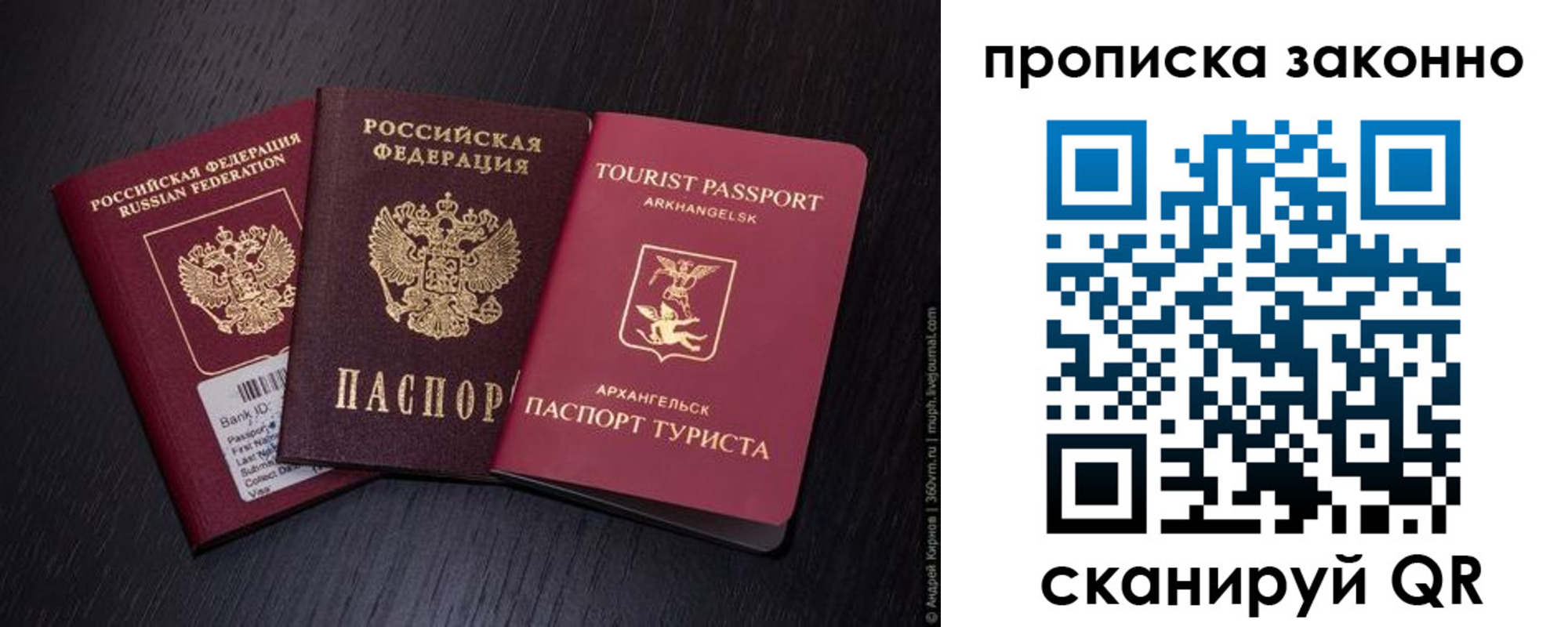 прописка штамп в Ельне